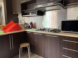 Blk 110C Punggol Field (Punggol), HDB 5 Rooms #218920691